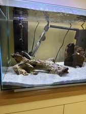 Fish tank aquarium for sale  DOWNHAM MARKET