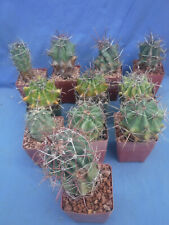 Pcs landscape grade for sale  Tucson