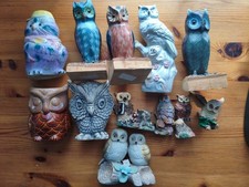 Chouettes d'occasion  Melun