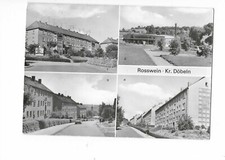 N310 rosswein kreis gebraucht kaufen  Petersberg, Wettin-Löbejün
