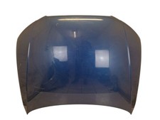 Motorhaube lx5v arubabau gebraucht kaufen  Bad Nauheim