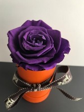 Hermes box rosenbox gebraucht kaufen  Altena