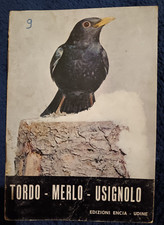 Canarini tordo merlo usato  Rovigo