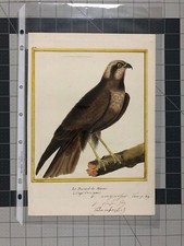 Busard marais hand d'occasion  Expédié en Belgium
