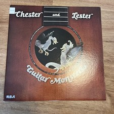 Chester lester guitar for sale  Glenwood