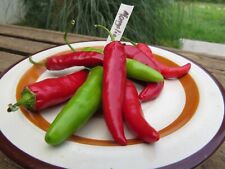Mongolian Hot Pepper comprar usado  Enviando para Brazil