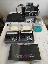 Polaroid 250 land usato  Siena