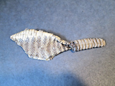 Western rattlesnake dried for sale  Auburn