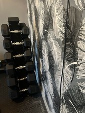 Complete hex dumbbells for sale  BEDALE