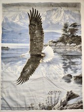 Vtg soaring bald for sale  West Des Moines