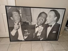 Large framed rat for sale  San Diego