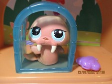 Petshop morse 977 d'occasion  Saint-Omer