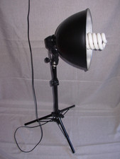 Studioleuchte fotostudio profi gebraucht kaufen  Eppenbrunn, Ruppertsweiler, Vinningen