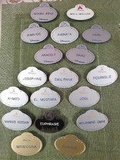 Name tag disneyland d'occasion  Saint-Dizier