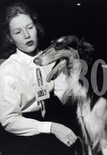 Vintage animali levriero usato  Roma
