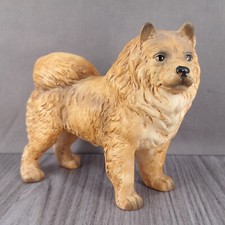 Uctci chow chow for sale  Winter Haven