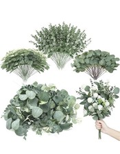 Beautiful style eucalyptus for sale  Hialeah