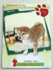 shiba inu for sale shiba inu for sale Holmes