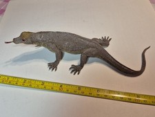 Komodo dragon monitor for sale  Cleveland