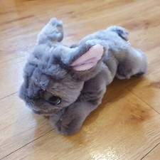 Keel grey dog for sale  HORSHAM
