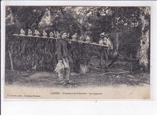 Landais chasseurs palombes d'occasion  France