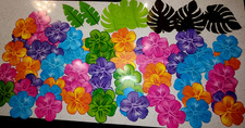 Hibiscus banners palm for sale  Panama City