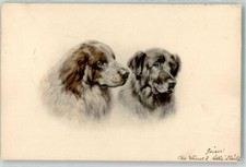 39529668 kangal vienne usato  Spedire a Italy