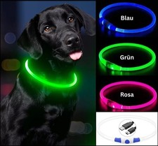 Led hundehalsband usb gebraucht kaufen  Elsdorf