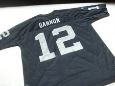 Vintage nfl oakland for sale  Blandon