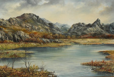 Gwyneth tomos original for sale  COLWYN BAY
