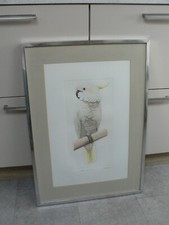 Elizabeth butterworth signed for sale  WORTHING