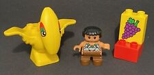 Lego duplo 2806 for sale  ROTHERHAM