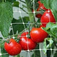 Rete rampicante orto usato  Bisignano