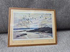Vintage framed peter for sale  NOTTINGHAM