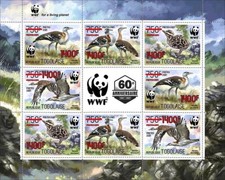 Birds denham bustard d'occasion  Expédié en Belgium