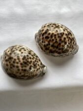 shell ornaments for sale shell ornaments for sale MONMOUTH
