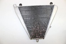 Kühler motor duc gebraucht kaufen  Alzey-Umland