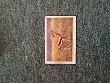 Sk13 trade card for sale  LEICESTER