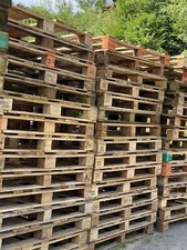Einweg paletten brennholz gebraucht kaufen  Pirmasens