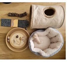 Cat kitten basket for sale  PONTEFRACT