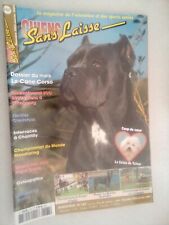 Chiens laisses 167 d'occasion  Wervicq-Sud