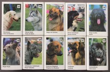 Lot dog theme d'occasion  Expédié en Belgium