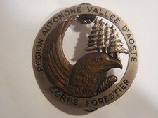 Grande distintivo corpo usato  San Casciano in Val di Pesa