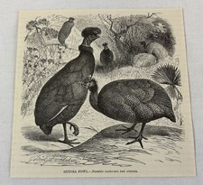 1885 book engraving for sale  Wilmington