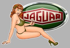Jaguar right pin d'occasion  Concarneau