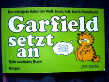 garfield kruger gebraucht kaufen  Weilerswist