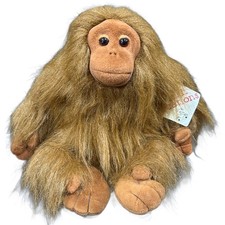 Baby ollie orangutan for sale  Ballwin
