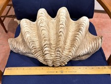 Faux giant clam for sale  Chesapeake