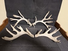 Mini monster sets for sale  Brandon