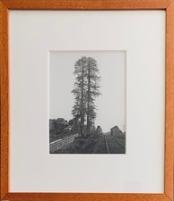 Carleton watkins framed for sale  Burlingame
